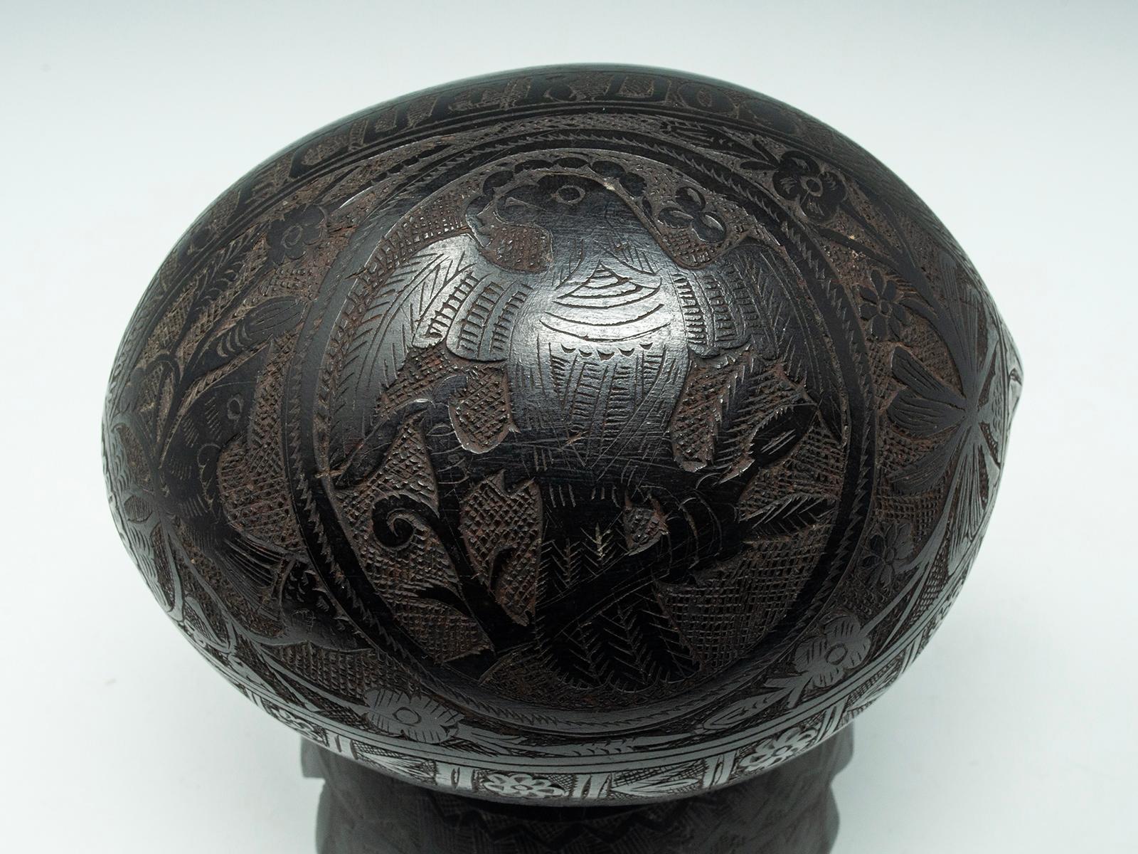 Wood Coconut Bugbear Box/Tea Caddy by Unknown Sailor For Sale