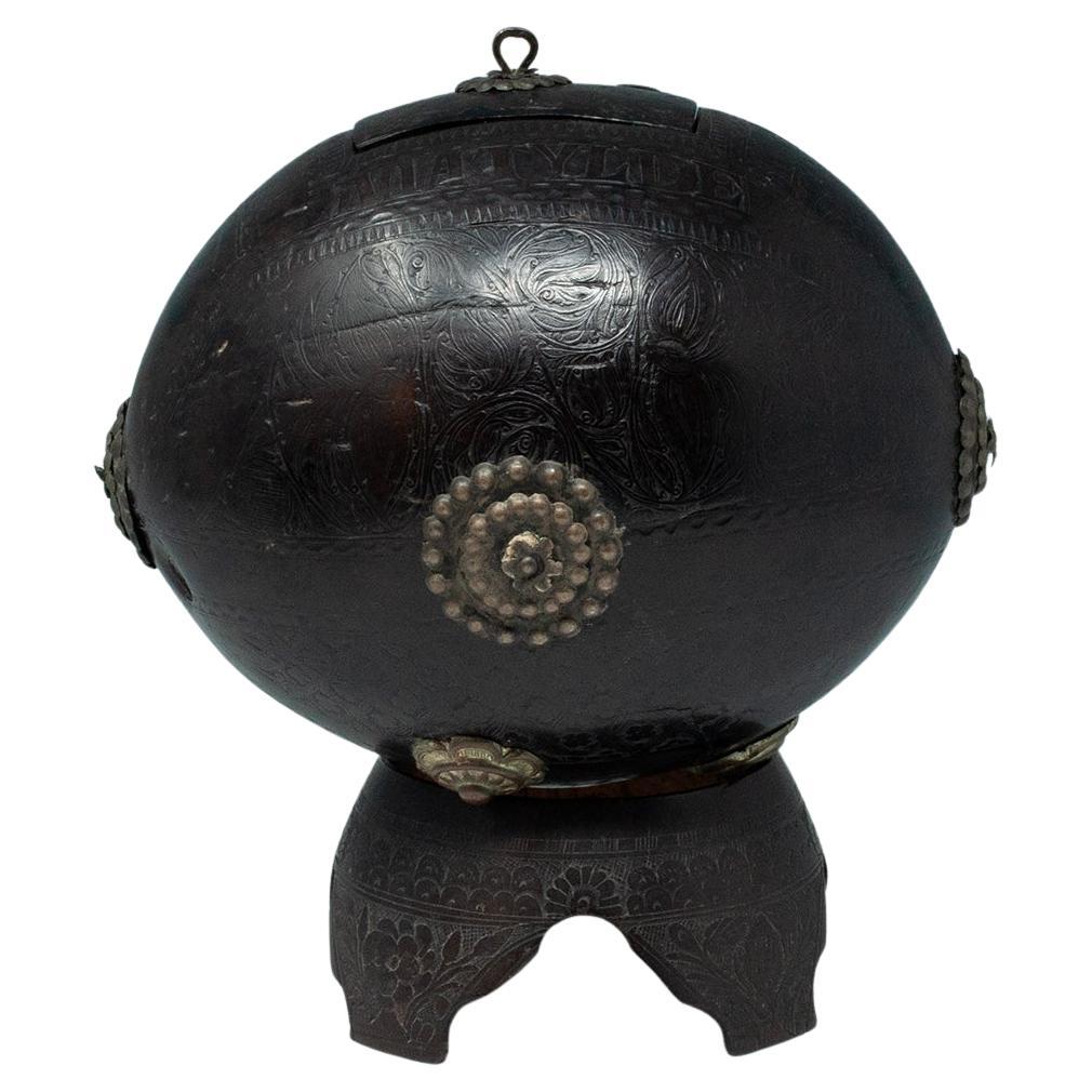 Coconut Bugbear Box/Tea Caddy by Unknown Sailor im Angebot