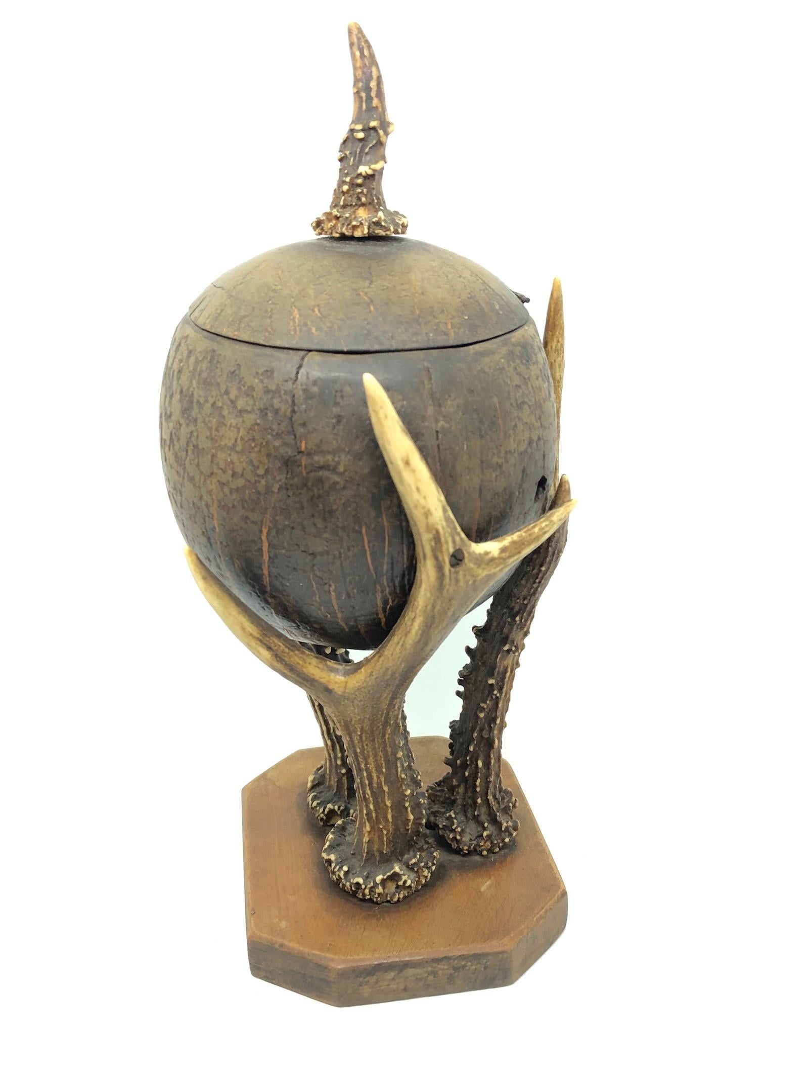 Late 19th Century Coconut and Deer Antler Trophy Catchall 1890s, Vienna, Austria