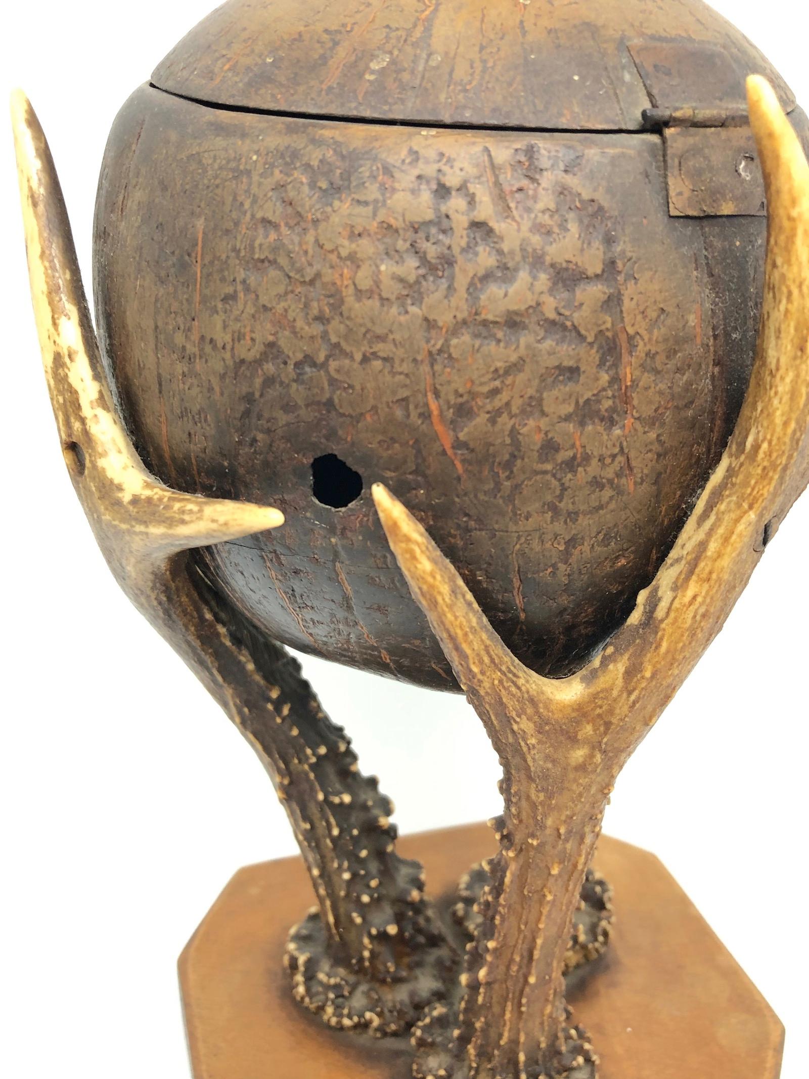 Metal Coconut and Deer Antler Trophy Catchall 1890s, Vienna, Austria