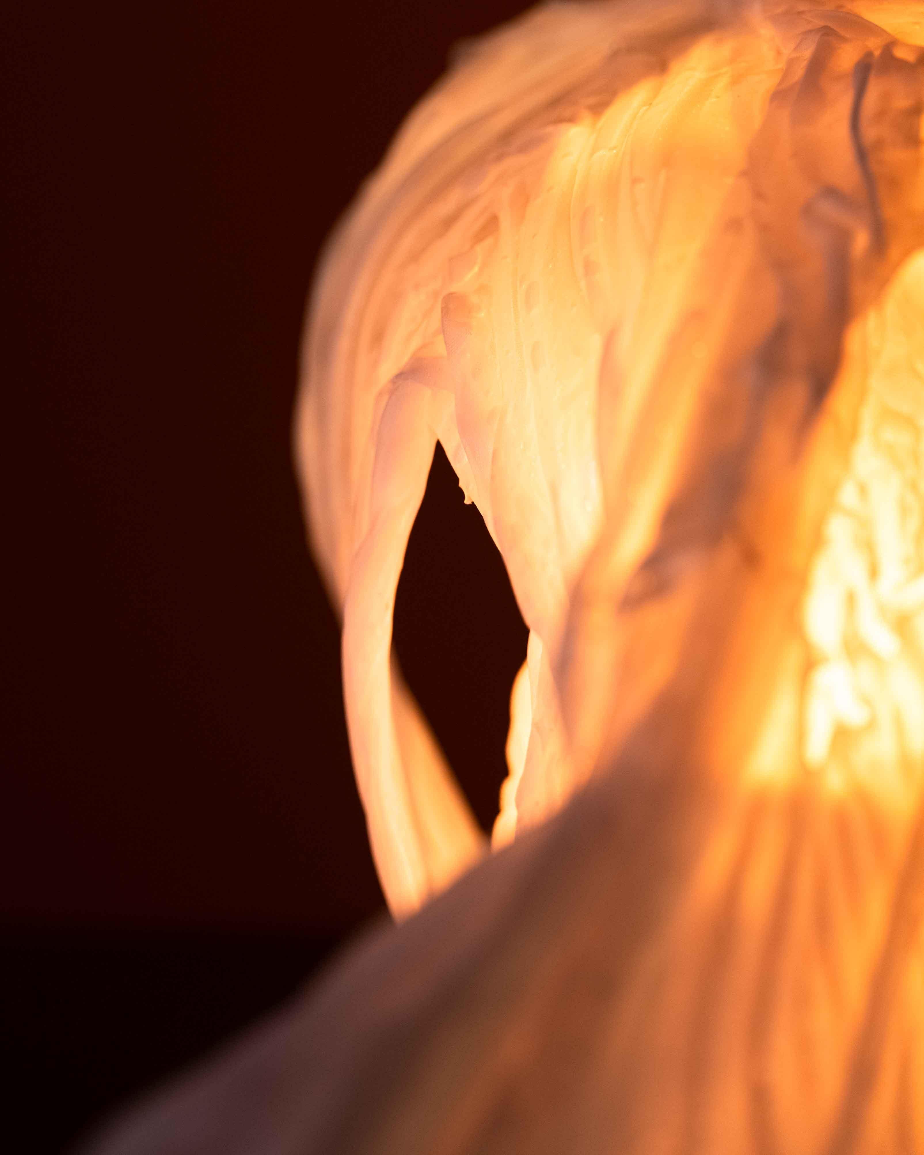 XXI secolo e contemporaneo Cocoon Lights di A. Kim Mesches in vendita