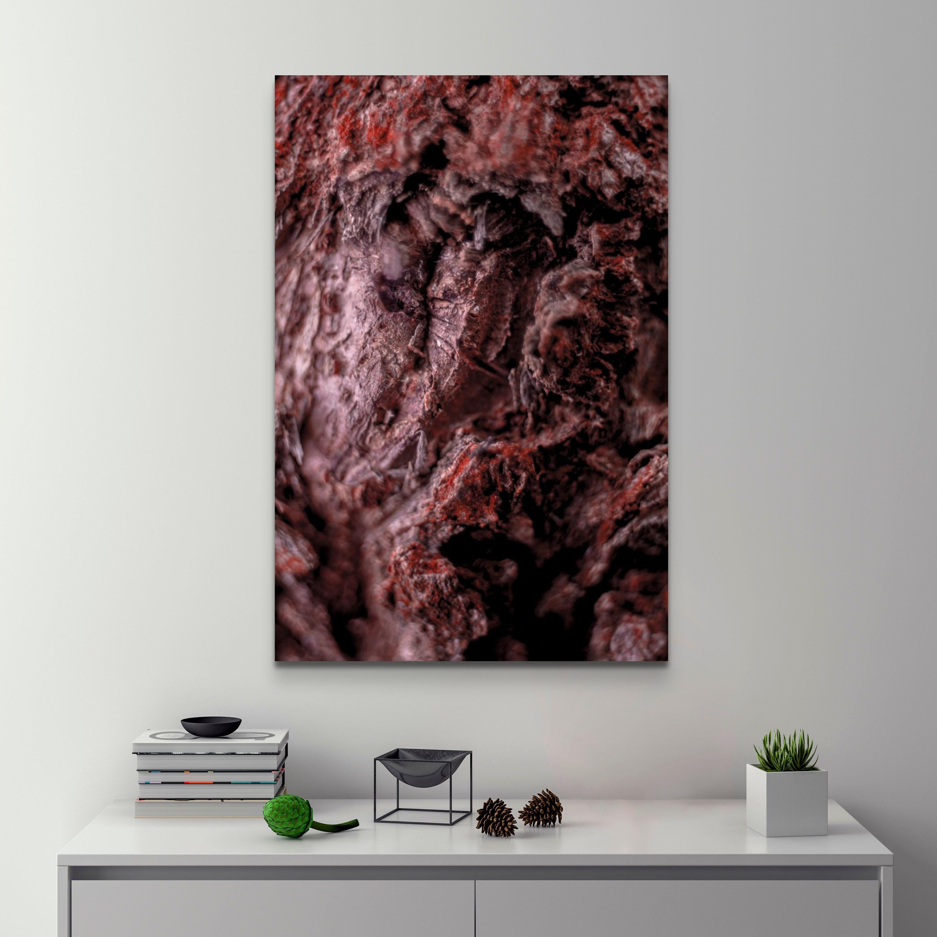 Macro photography - Giclée print on archival Hahnemühle paper 308 gsm
Finest Quality - Archival properties with lasting up to 400 years
Print will be produced, numbered and signed upon purchase and will be shipped in secure packaging with included