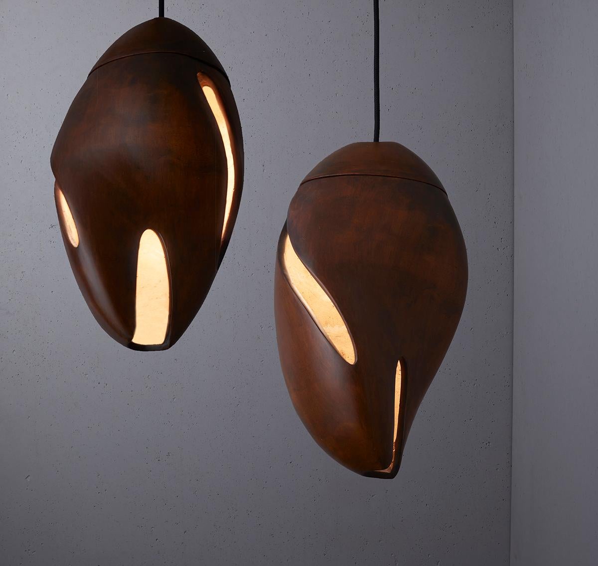 Cocoon is a 3D printed decorative lamp celebrating craft and pushing the boundaries of new and
sustainable technologies by transforming wood waste into an organic, technologically advanced
light. 

The sculptural form of Cocoon has been developed to