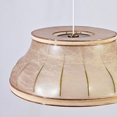 Résine de cocon. Grande lampe suspendue brutaliste de Friedel Wauer, Allemagne, années 1970