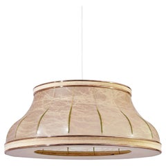 Résine de cocon. Grande lampe suspendue brutaliste de Friedel Wauer, Allemagne, années 1970
