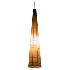 cocoon resin pendant light by Hans bergström, Ateljé Lyktan, Swedish moder 1950s