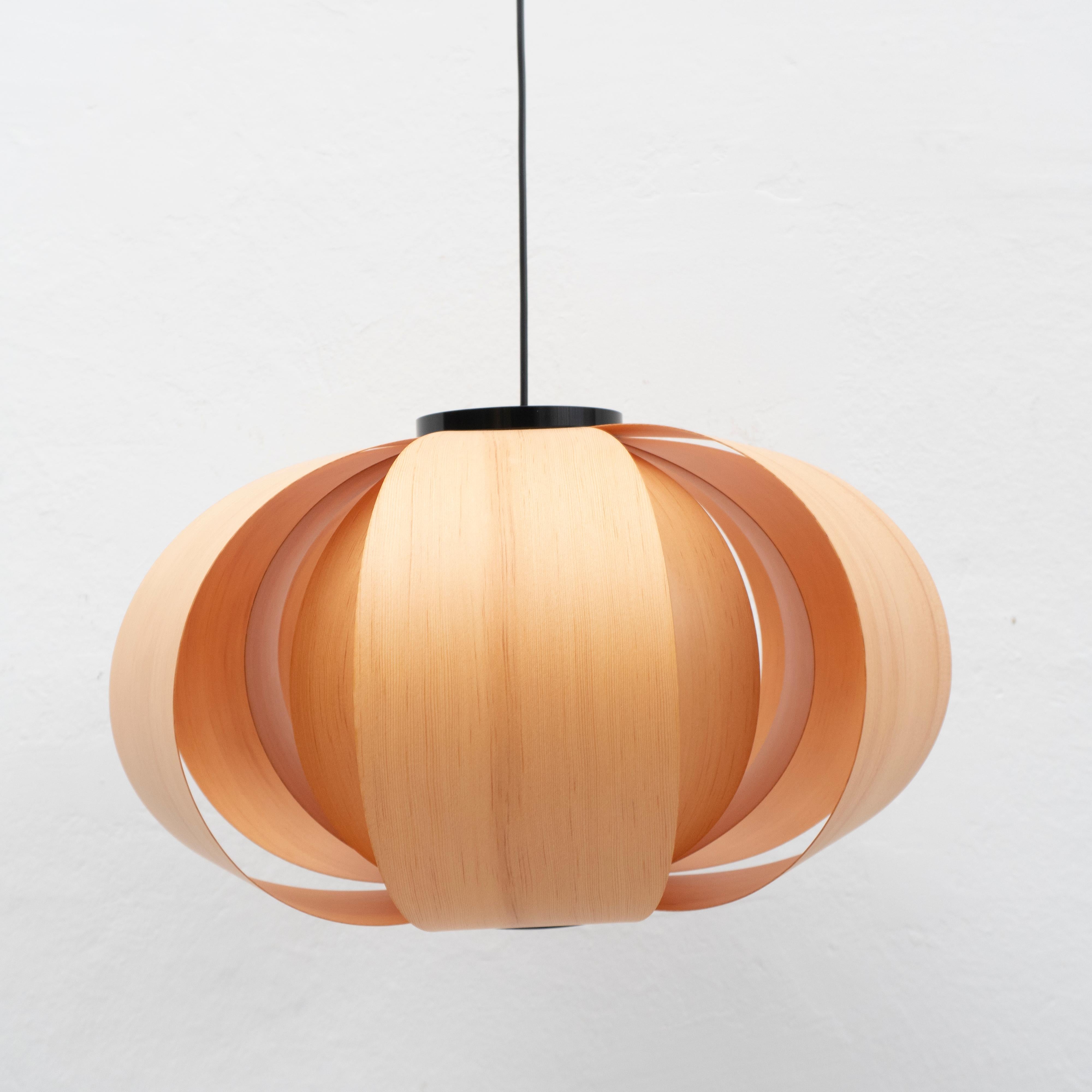 Aluminum Coderch Large Disa Wood Hanging Lamp by Tunds For Sale