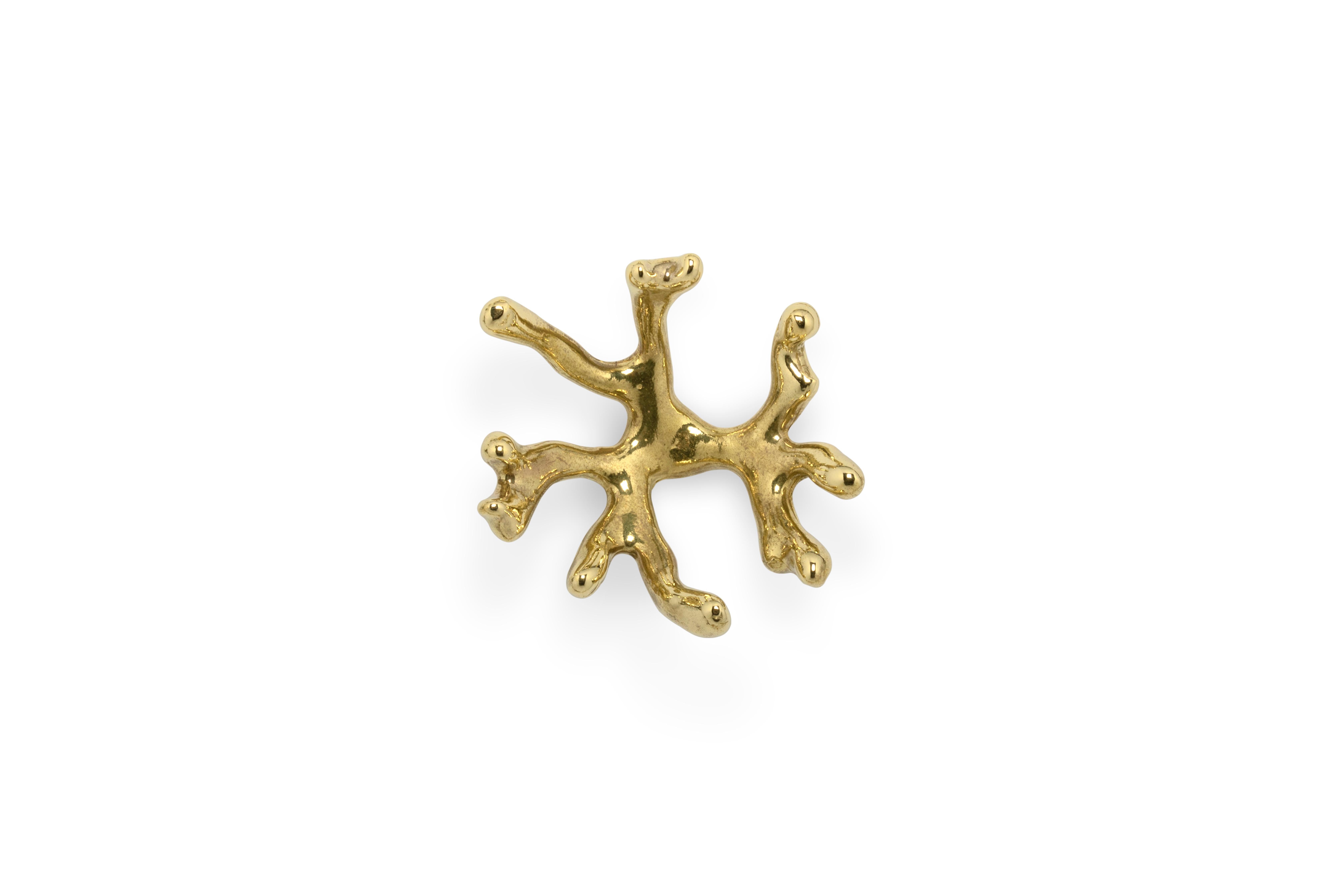 The Ocean is wide and wavering, keeping unique and beautiful secrets. Dipped in blue waters, our Codium Cabinet Hardware is delicate and authentic, a fetching and luxury Drawer Handle for any design, cupboard, or wardrobe, cabinet furniture