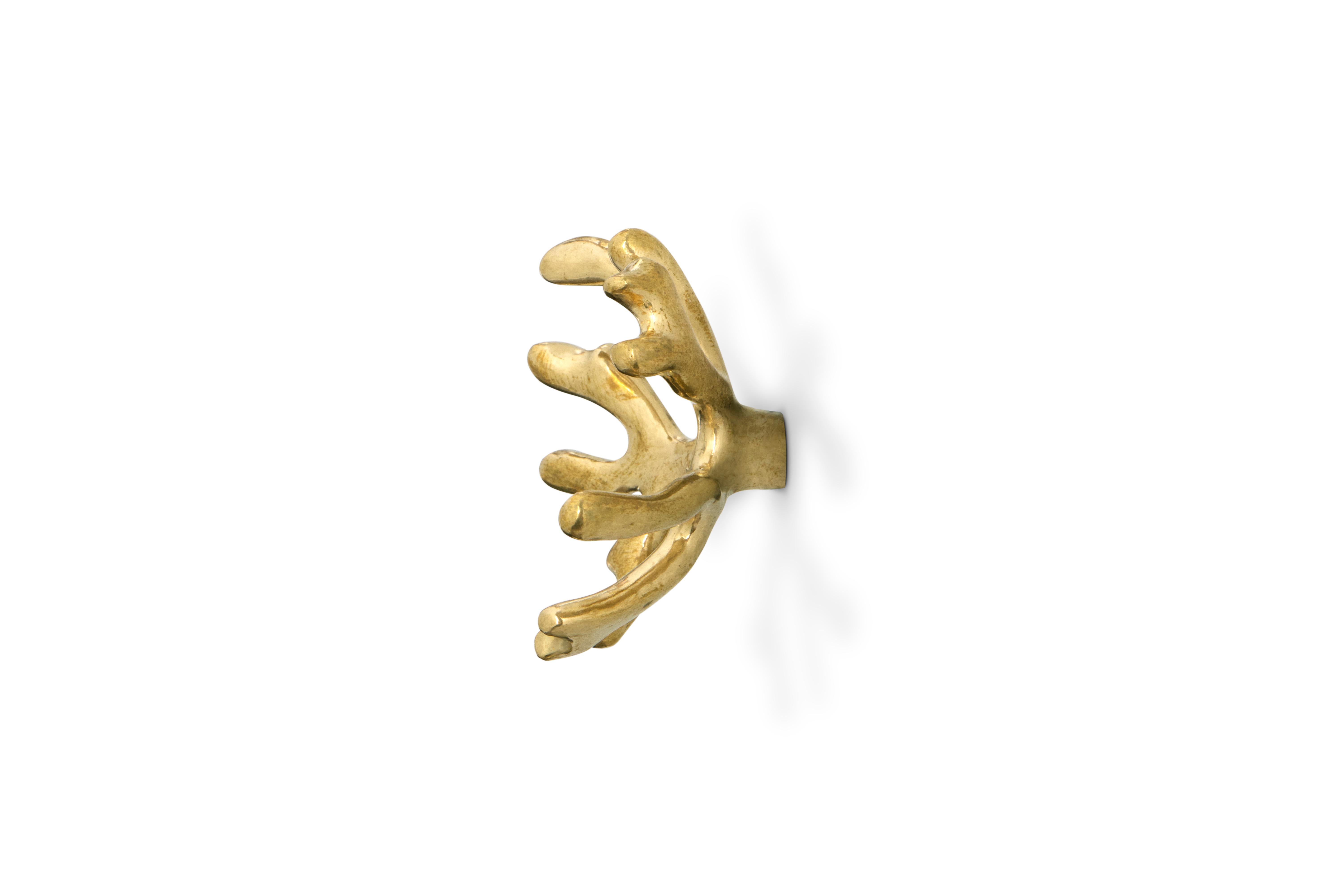 Codium Drawer Handle - Handcrafted Polished Brass - PullCast In New Condition For Sale In Rio Tinto, PT