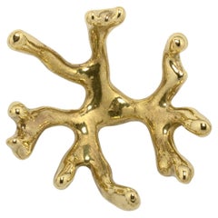 Codium Drawer Handle - Handcrafted Polished Brass - PullCast