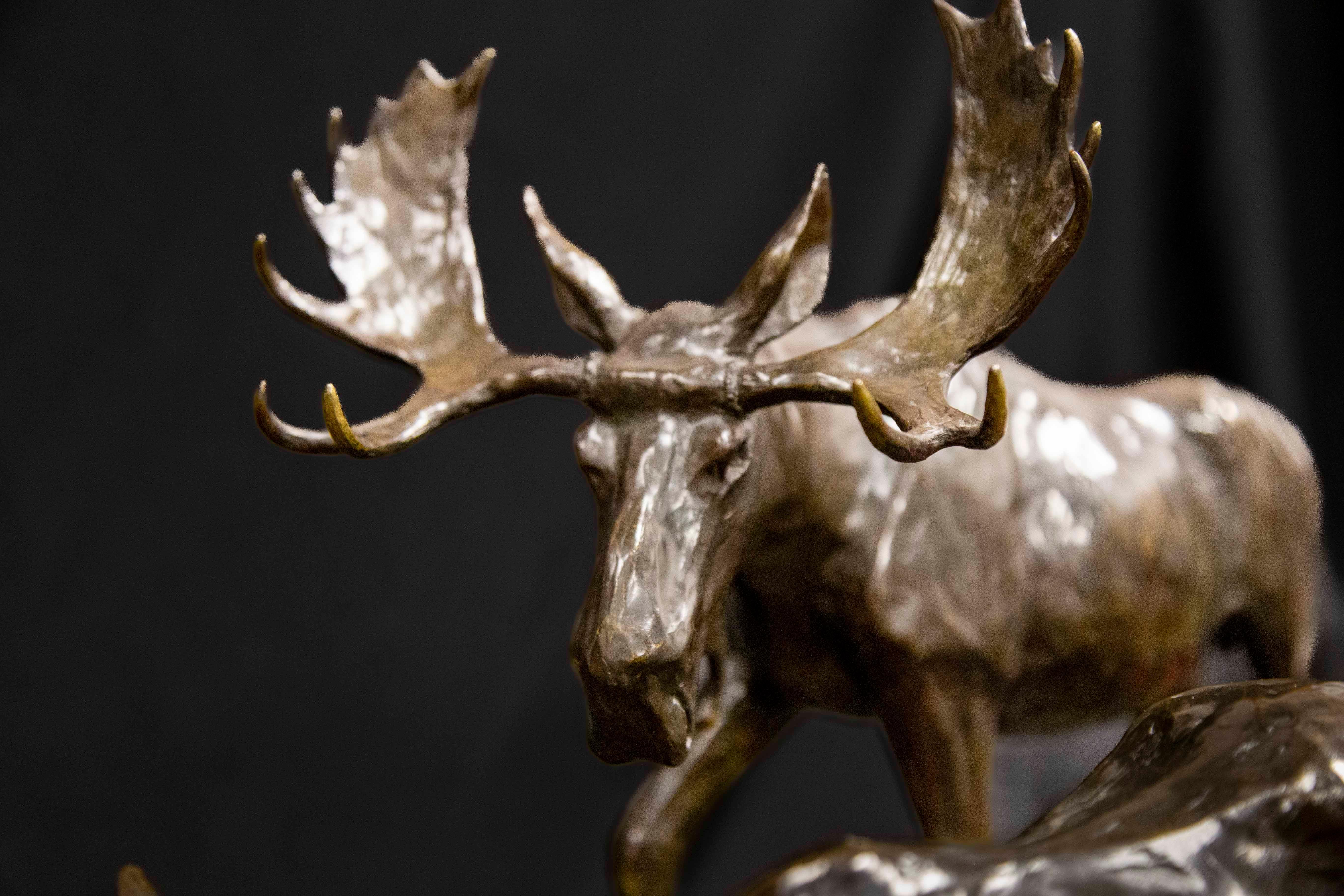 Clear Mountain Morning Moose Montana Wildlife Cody Houston Western Art Bronze For Sale 9