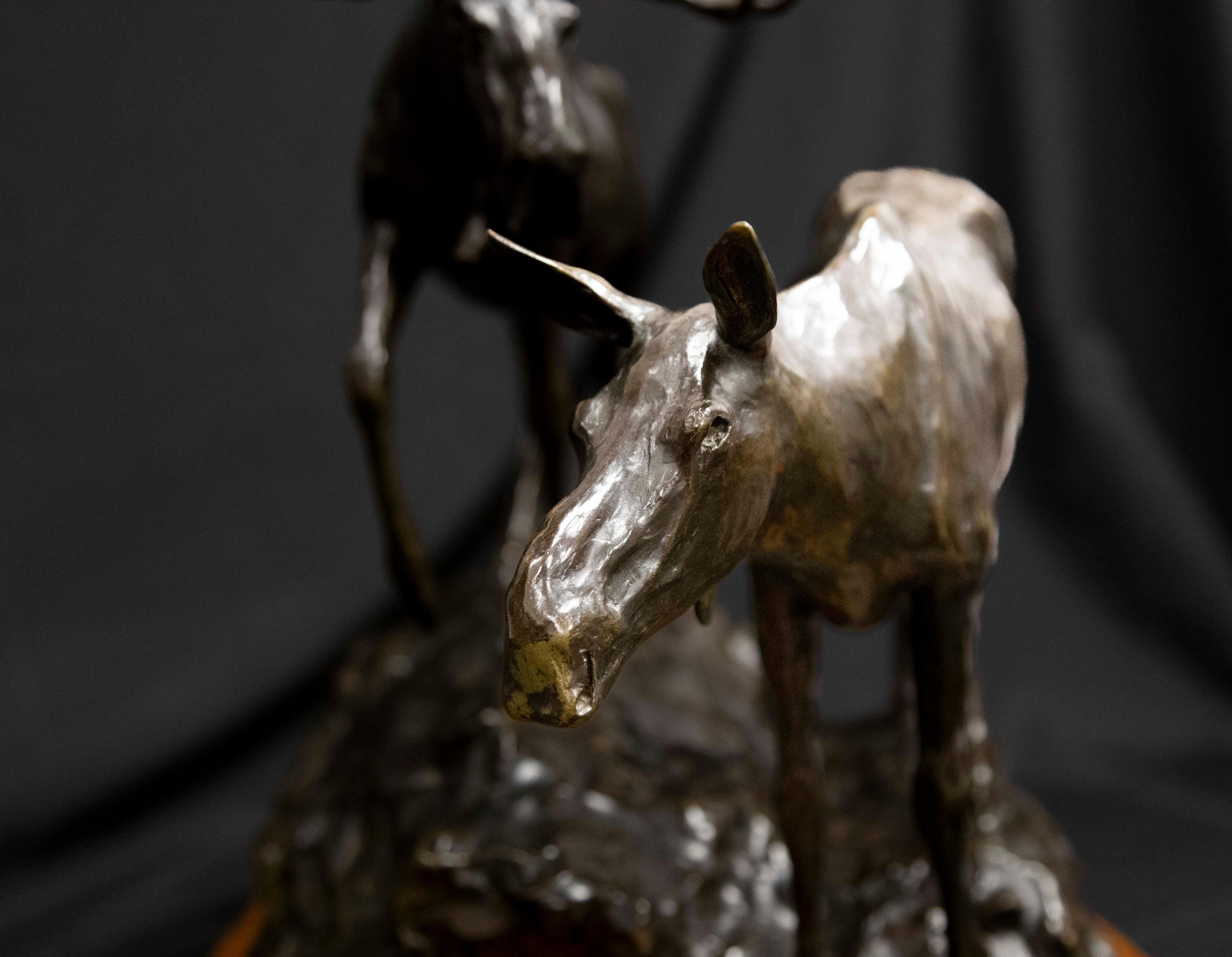 Clear Mountain Morning Moose Montana Wildlife Cody Houston Western Art Bronze For Sale 10