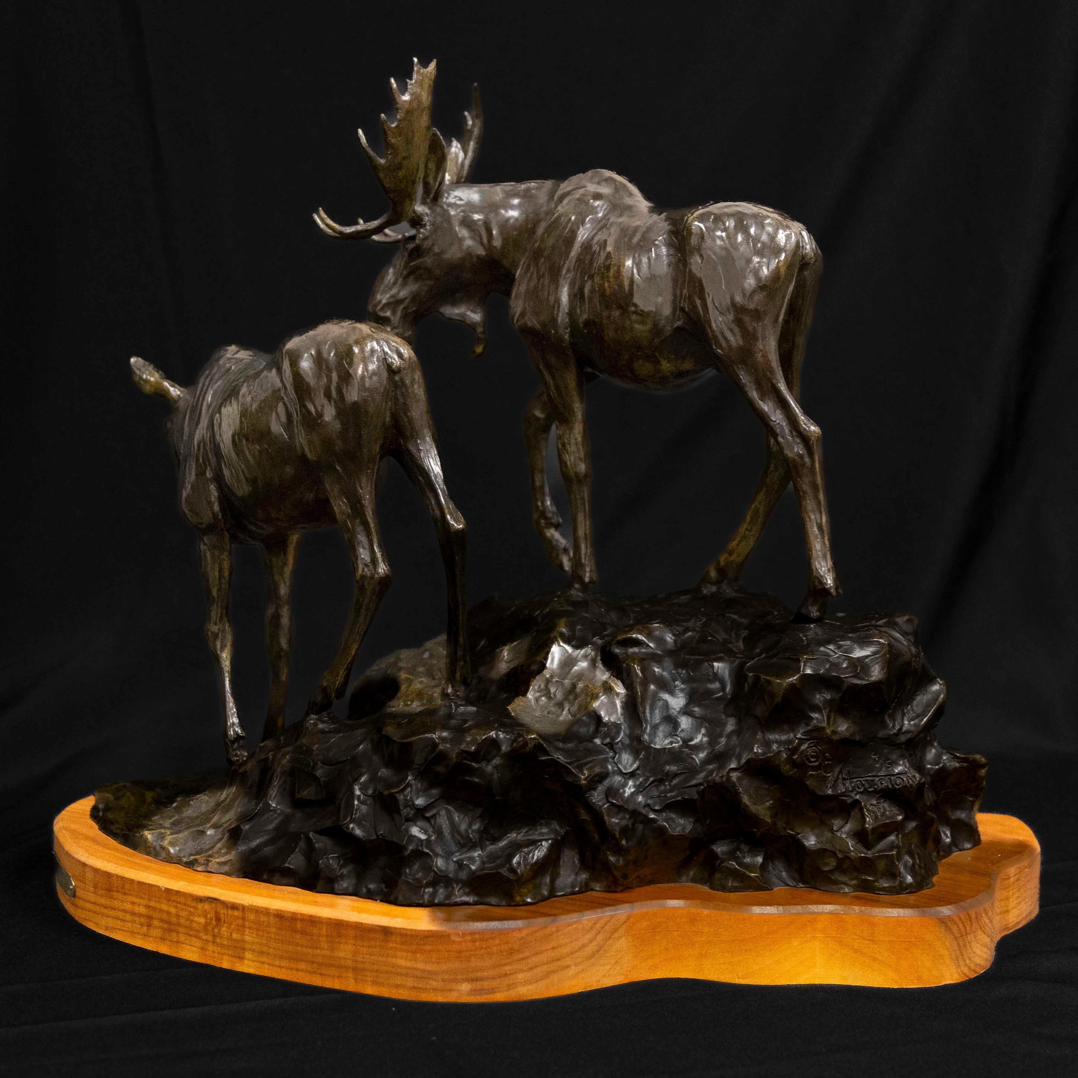 Clear Mountain Morgen Moose Montana Wildlife Cody Houston Western Art Bronze im Angebot 1