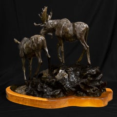 Clear Mountain Morning Moose Montana Wildlife Cody Houston Western Art Bronze