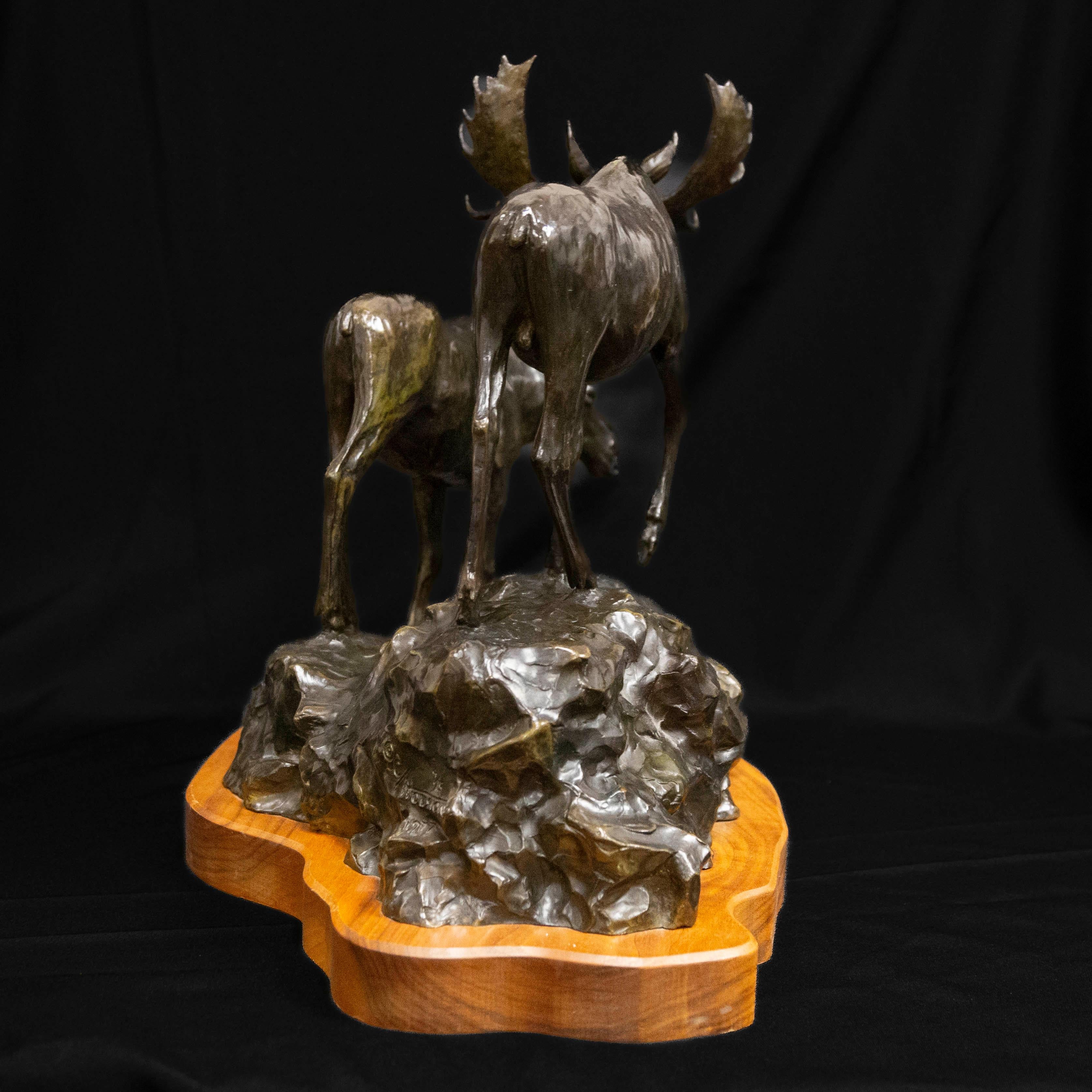 Bronze Clear Mountain Morning Moose Montana Wildlife Cody Houston Western Art en vente 2