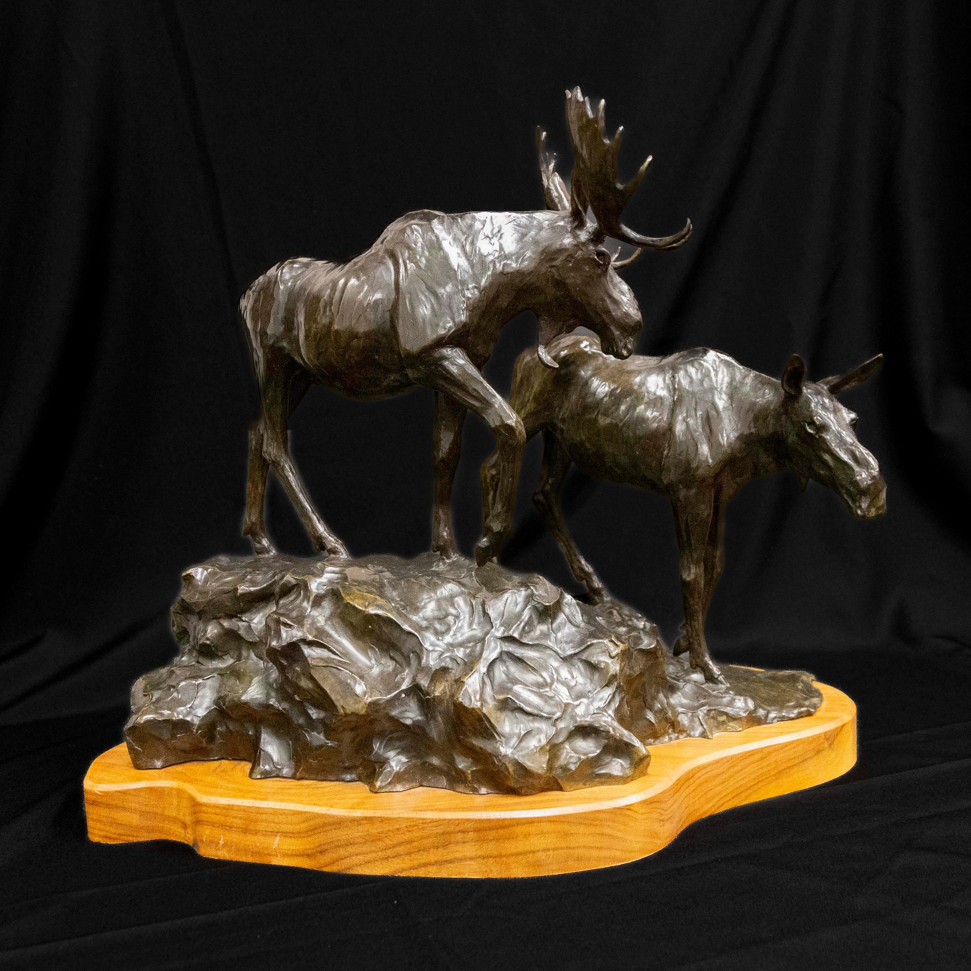 Clear Mountain Morgen Moose Montana Wildlife Cody Houston Western Art Bronze im Angebot 3