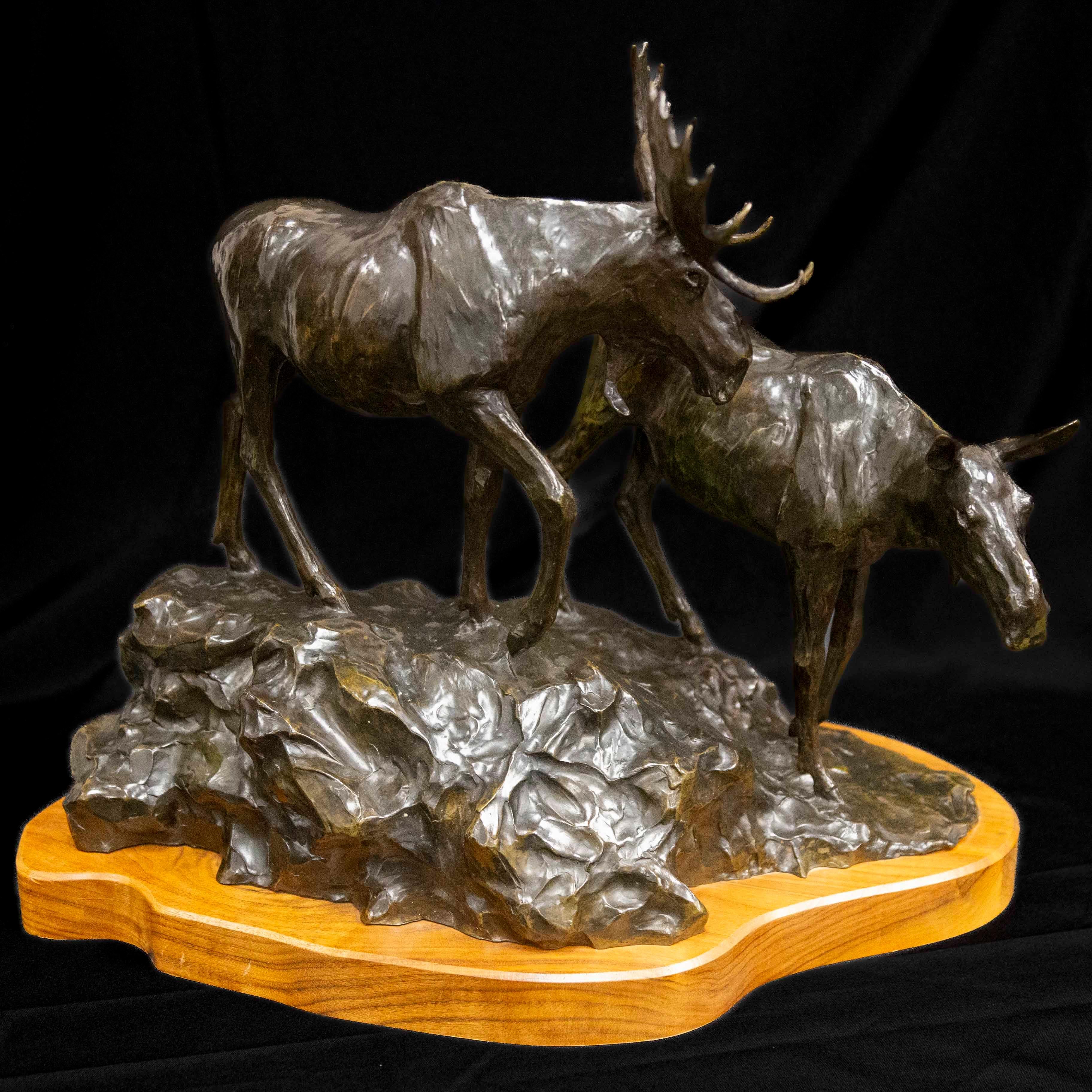 Clear Mountain Morgen Moose Montana Wildlife Cody Houston Western Art Bronze im Angebot 4