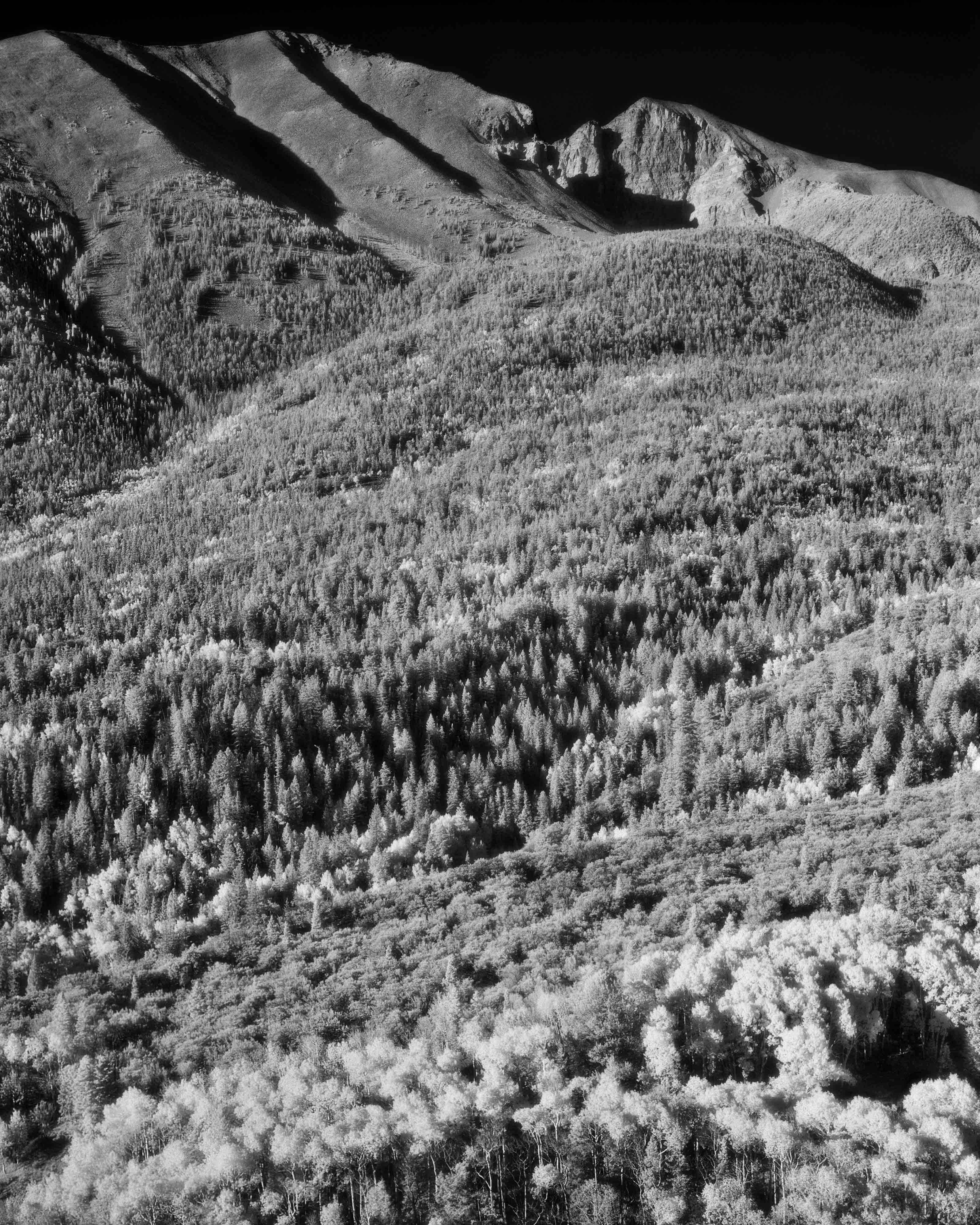 Cody S. Brothers Black and White Photograph – Landschaftsfotografie, 4 Zoll x 5 Zoll, Serie: „Wheeler Peak“ 