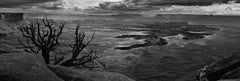 Fotografía panorámica de paisaje en blanco y negro: "Canyonlands".
