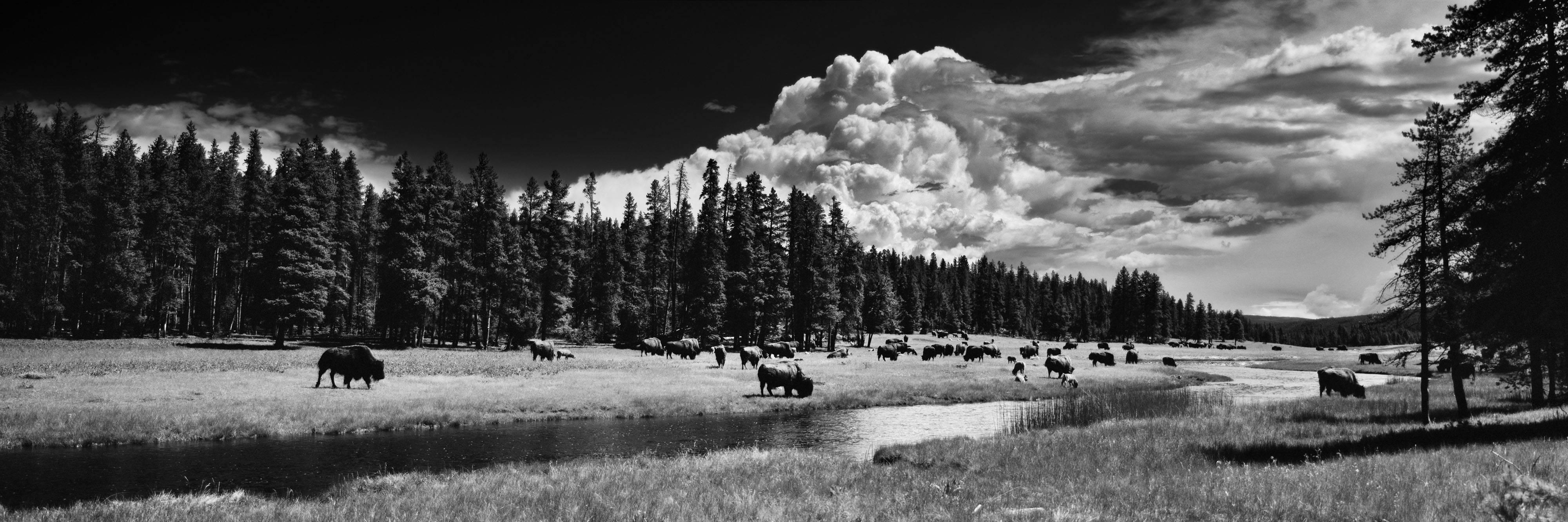 Cody S. Brothers Landscape Photograph – Landschaftsfotografie Panoramik-Serie: 'NezBuffalo'