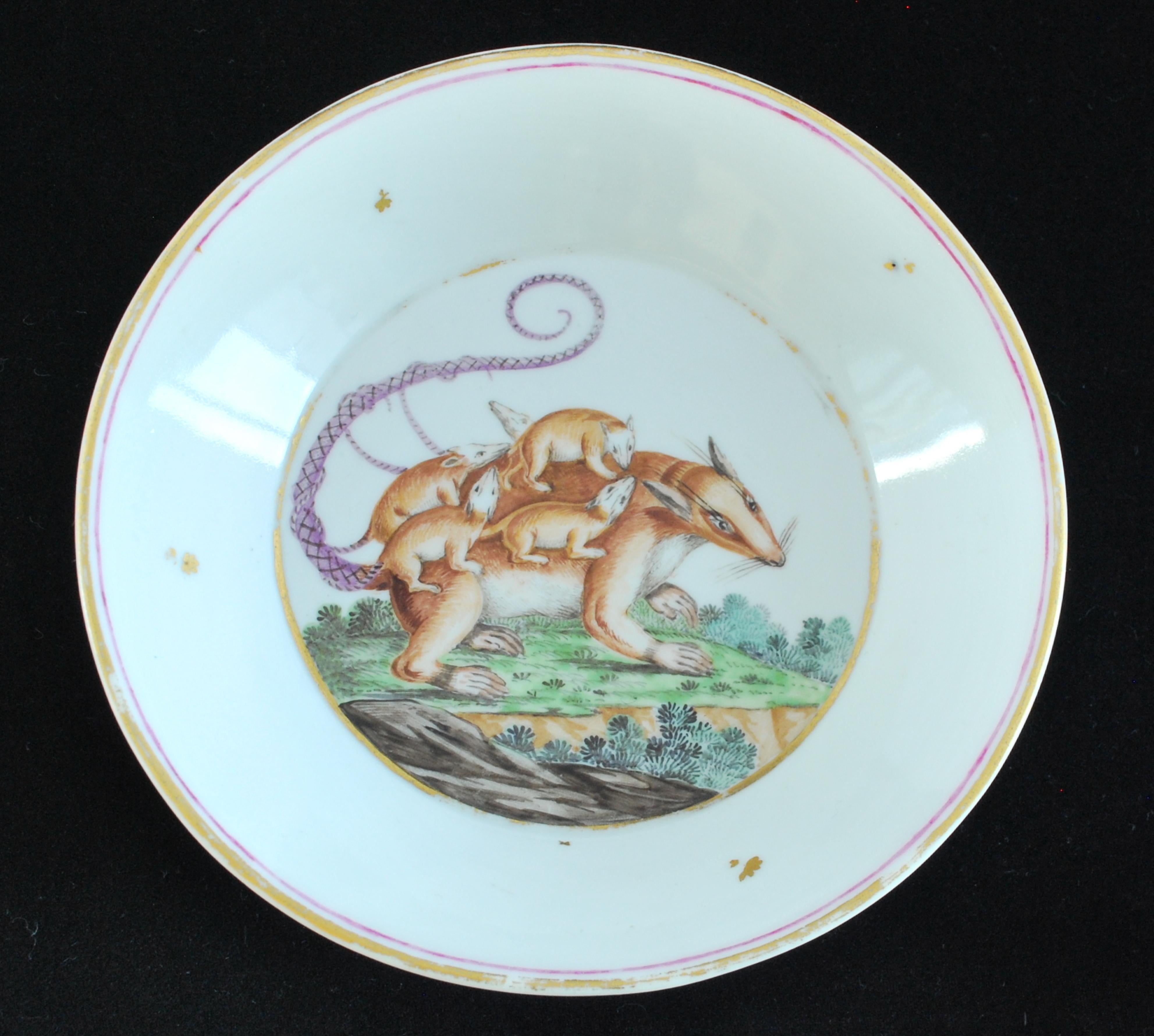 Neoclassical Coffee Can: Merian's Opossum, Nymphenburg, C1790 For Sale