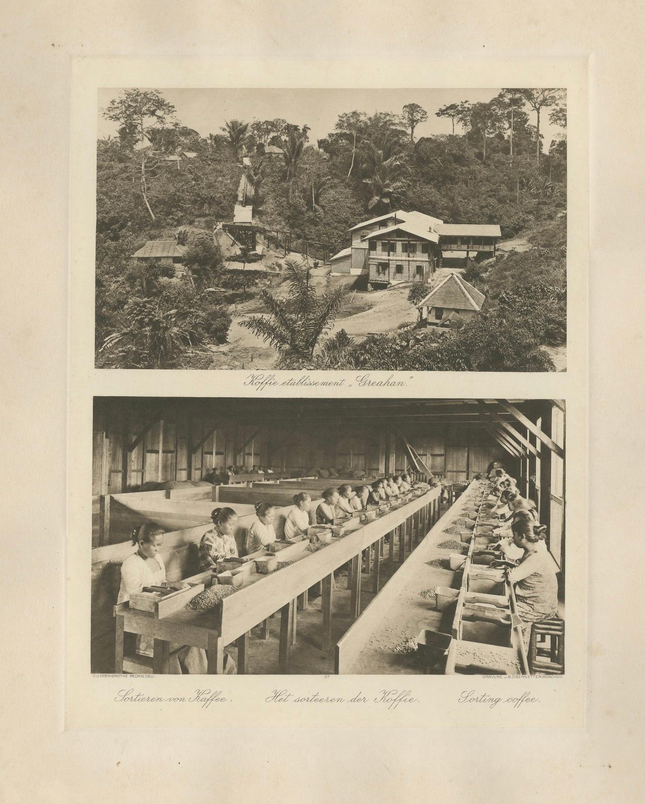 Établissement de café Girsahan et triage du café - Photos anciennes Sumatra, c.1900 en vente 2