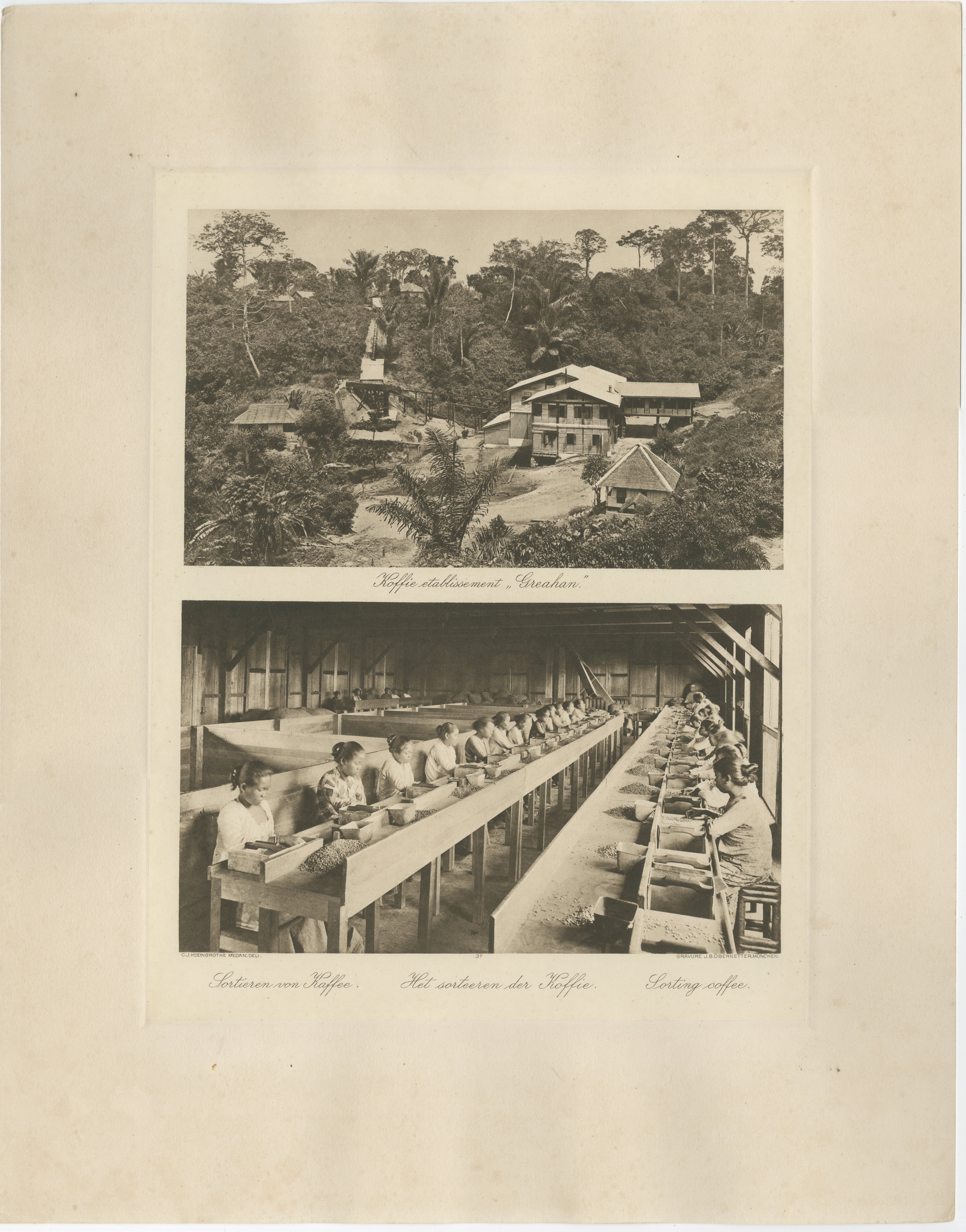 Établissement de café Girsahan et triage du café - Photos anciennes Sumatra, c.1900