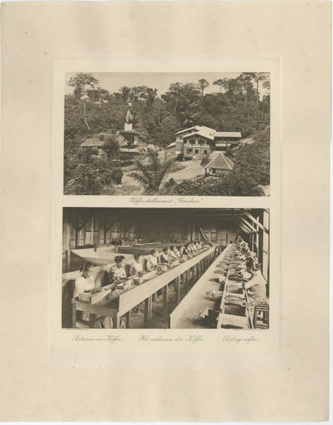 Coffee Establishment Girsahan & Sorting Coffee – Antique Photos Sumatra, c.1900