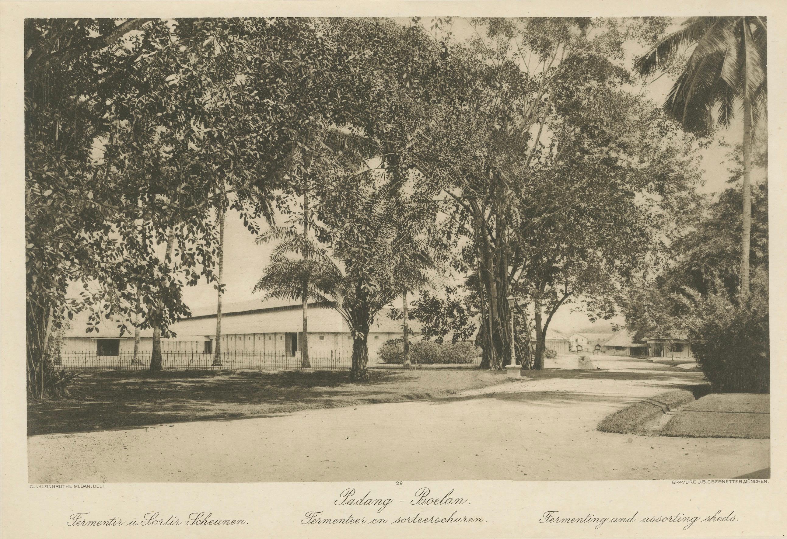 Cobertizos de fermentación de café y cosecha, Padang Roetan, Sumatra, c.1910 siglo XX en venta