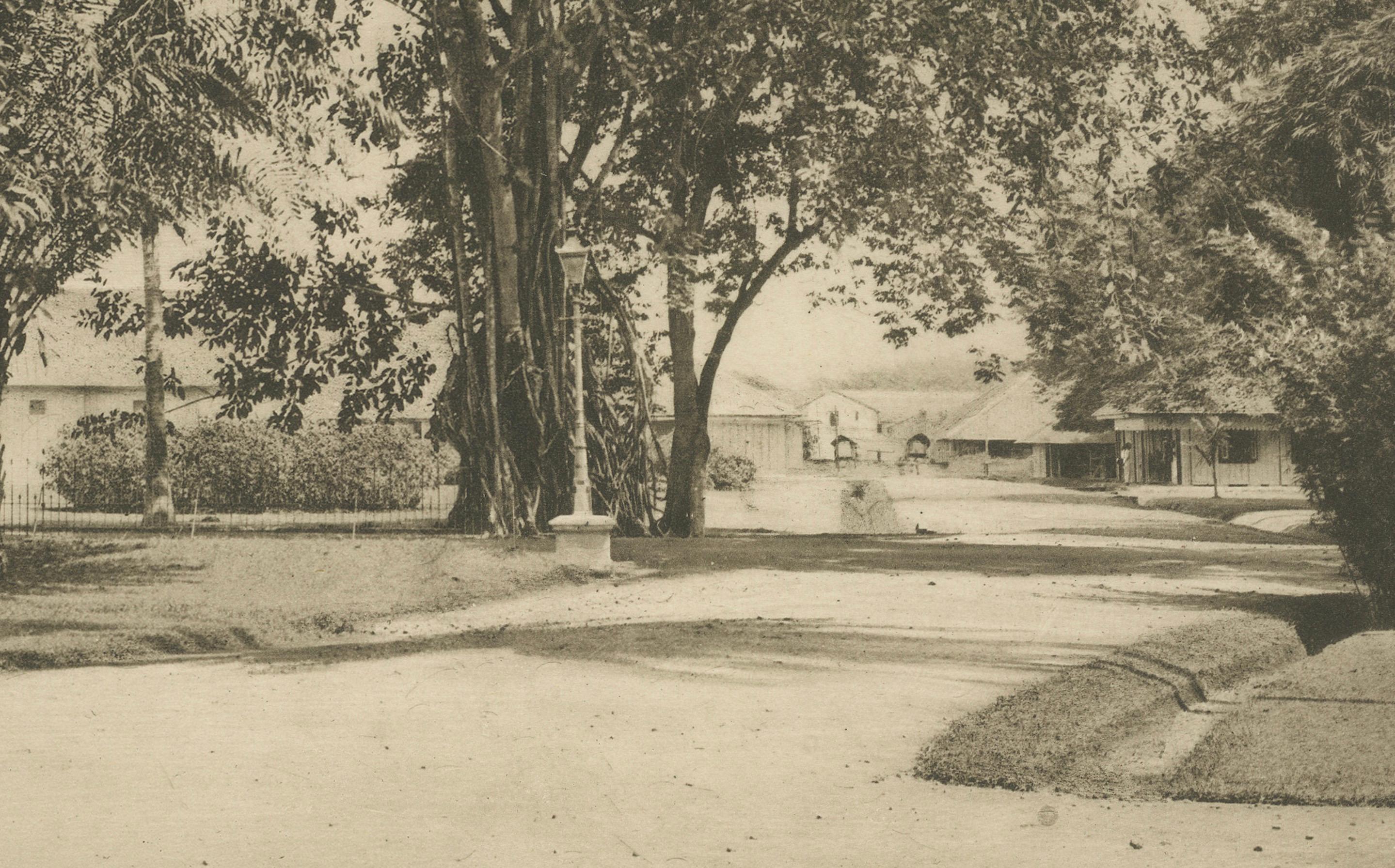 Cobertizos de fermentación de café y cosecha, Padang Roetan, Sumatra, c.1910 Papel en venta