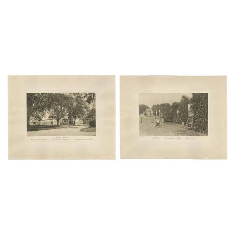 Coffee Fermentation Sheds and Harvest, Padang Roetan, Sumatra, c.1910