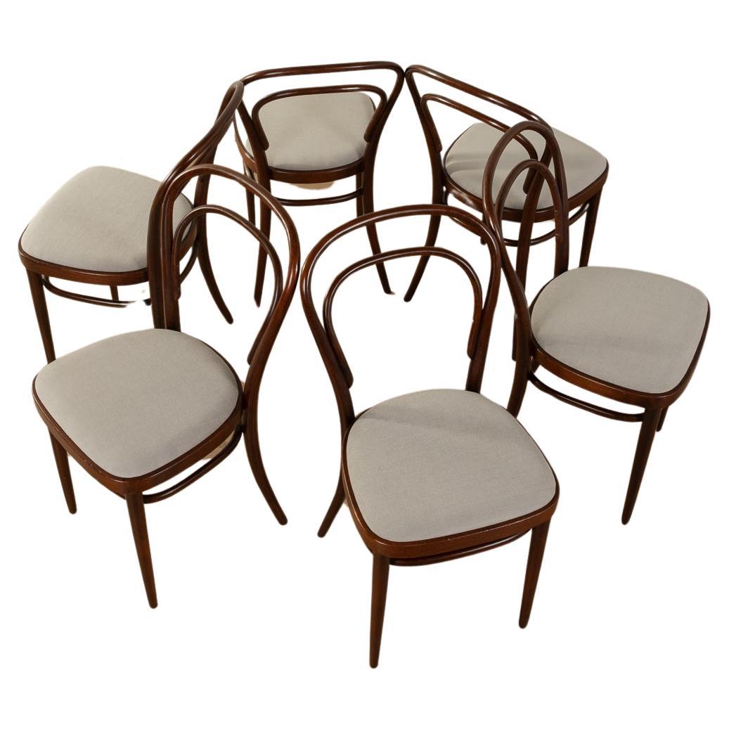 Coffee house chairs, model 214 by Michael Thonet For Sale