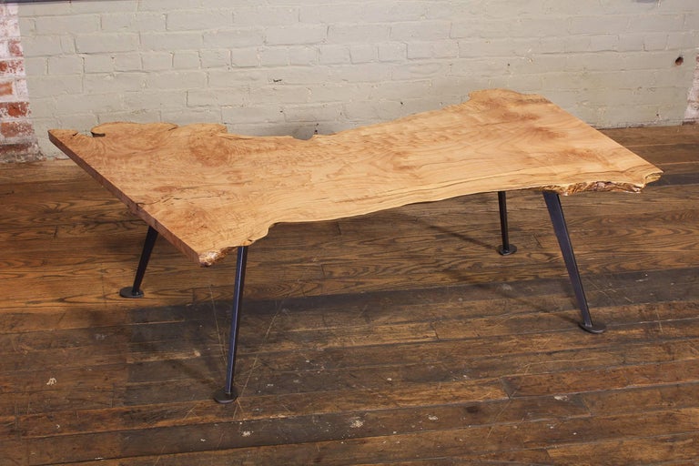 Coffee Table Free Form Live Edge Maple Burl With Steel Legs At 1stdibs