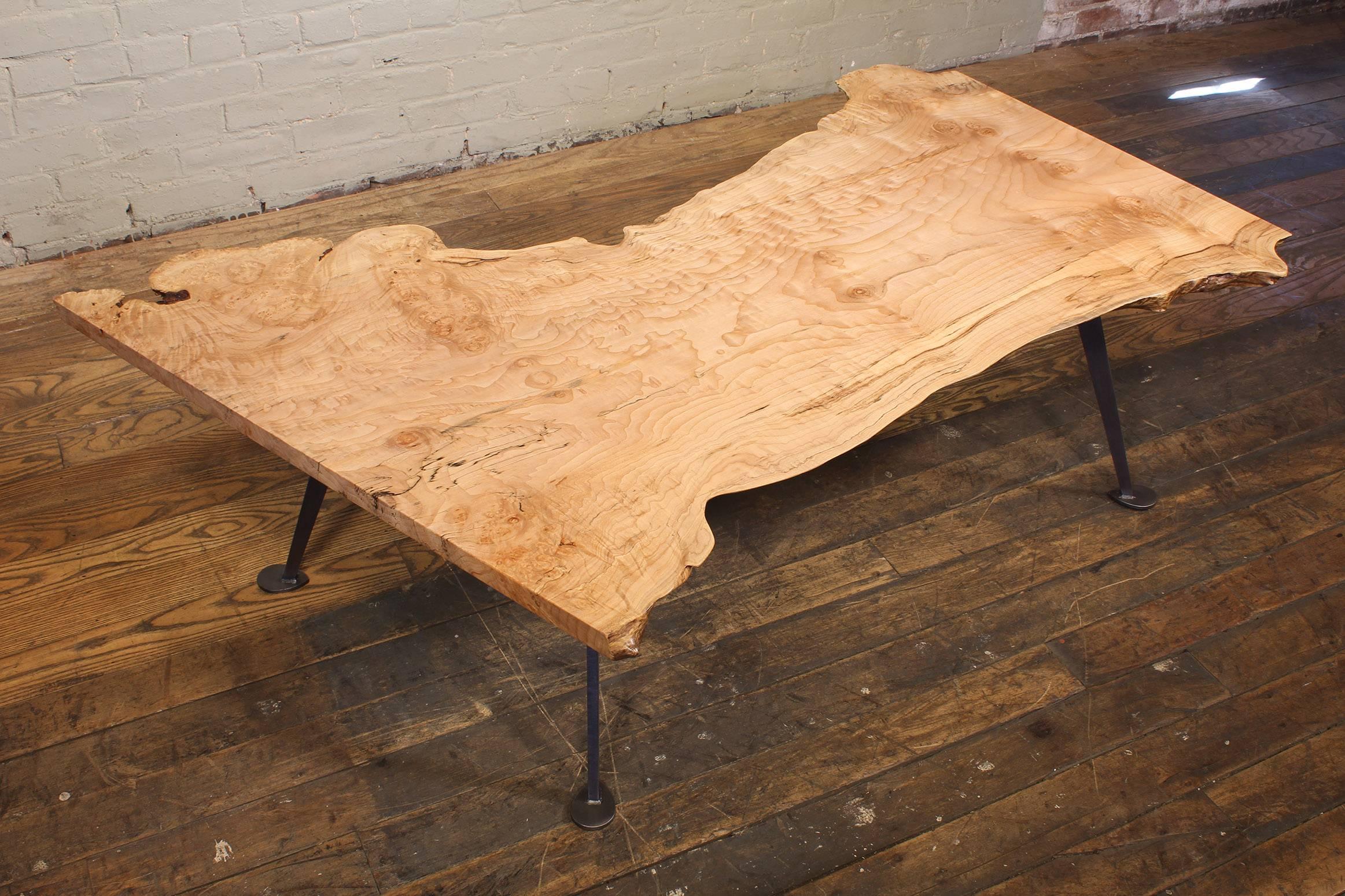 Mid-Century Modern / Industrial style free-form live-edge maple burl coffee table with steel legs. Length at longest point measures 52 1/2