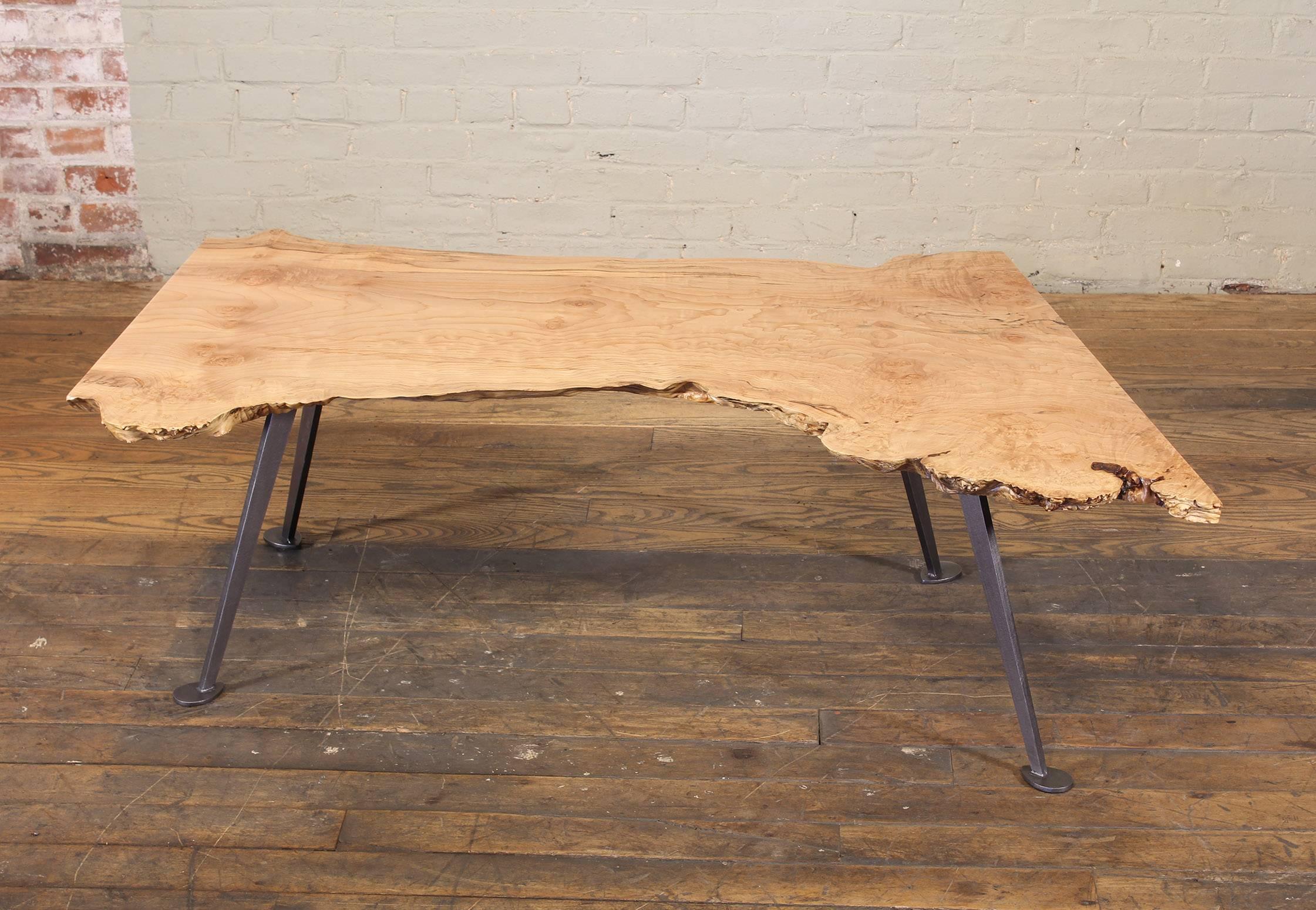 Contemporary Coffee Table Free-Form Live Edge Maple Burl with Steel Legs