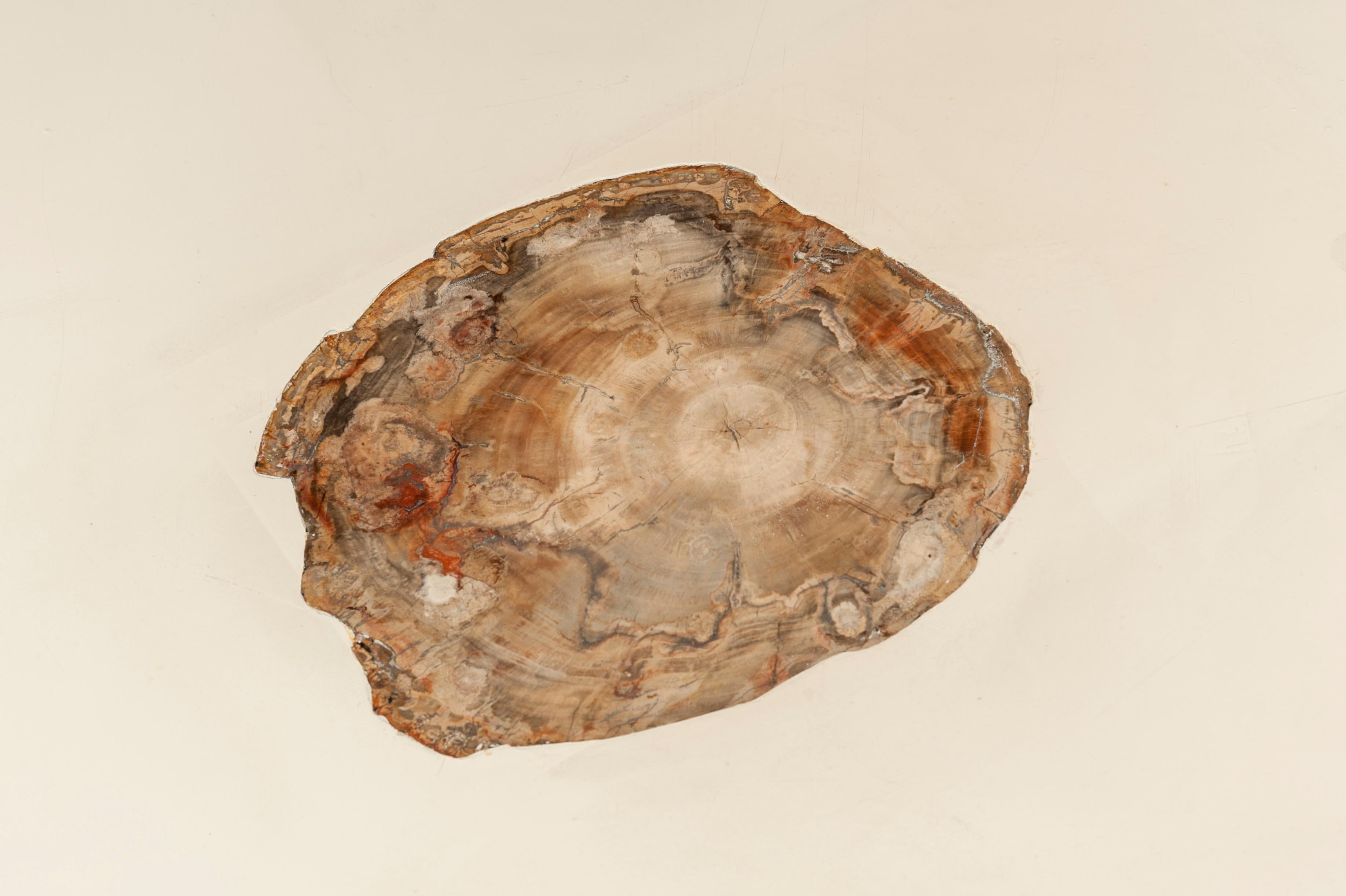 Mid-20th Century Coffee Table by Philippe Barbier Inlaid Petrified Wood For Sale