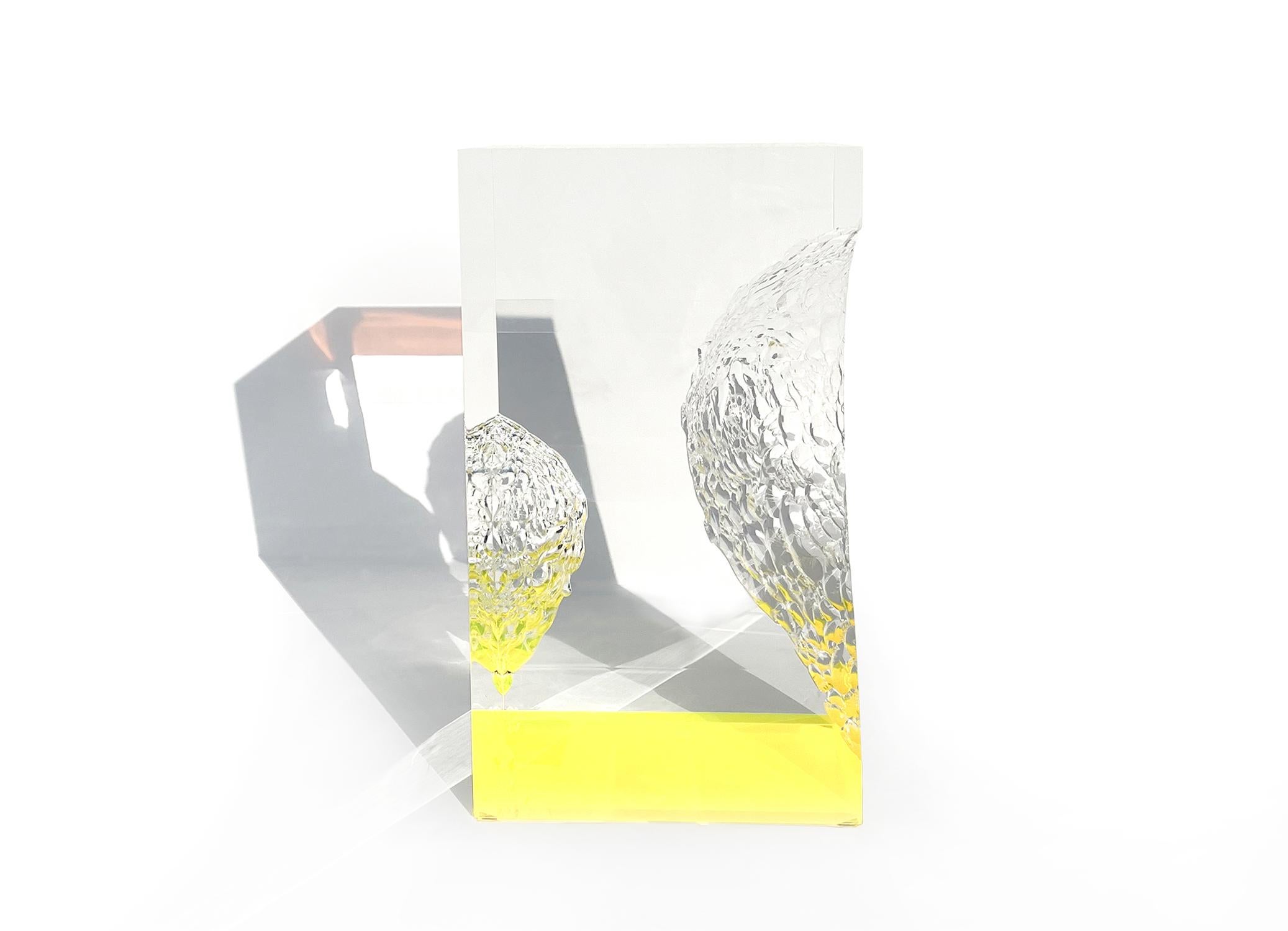 Table basse Prima Materia Citrinitas conçue par Marco.
Cette sculpture/table à café, réalisée à partir d'un bloc de plexiglas transparent, a été fabriquée à la main et à l'aide de machines à commande numérique. 
.
Biographie
Marco MarCo est né à