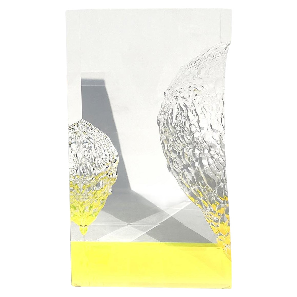 Mesa de centro Modelo Citrinitas de Marco Pettinari en venta