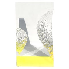 Mesa de centro Modelo Citrinitas de Marco Pettinari