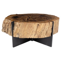 Coffee Table from Medici Gardens Italy