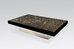 Coffee Table in Black Resin and Marcassite by Jean Claude Dresse