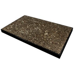 Coffee Table in Black Resin and Marcassite by Jean Claude Dresse