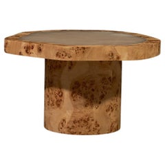 Coffee Table in Poplar Burl Veneer and Polished Onyx