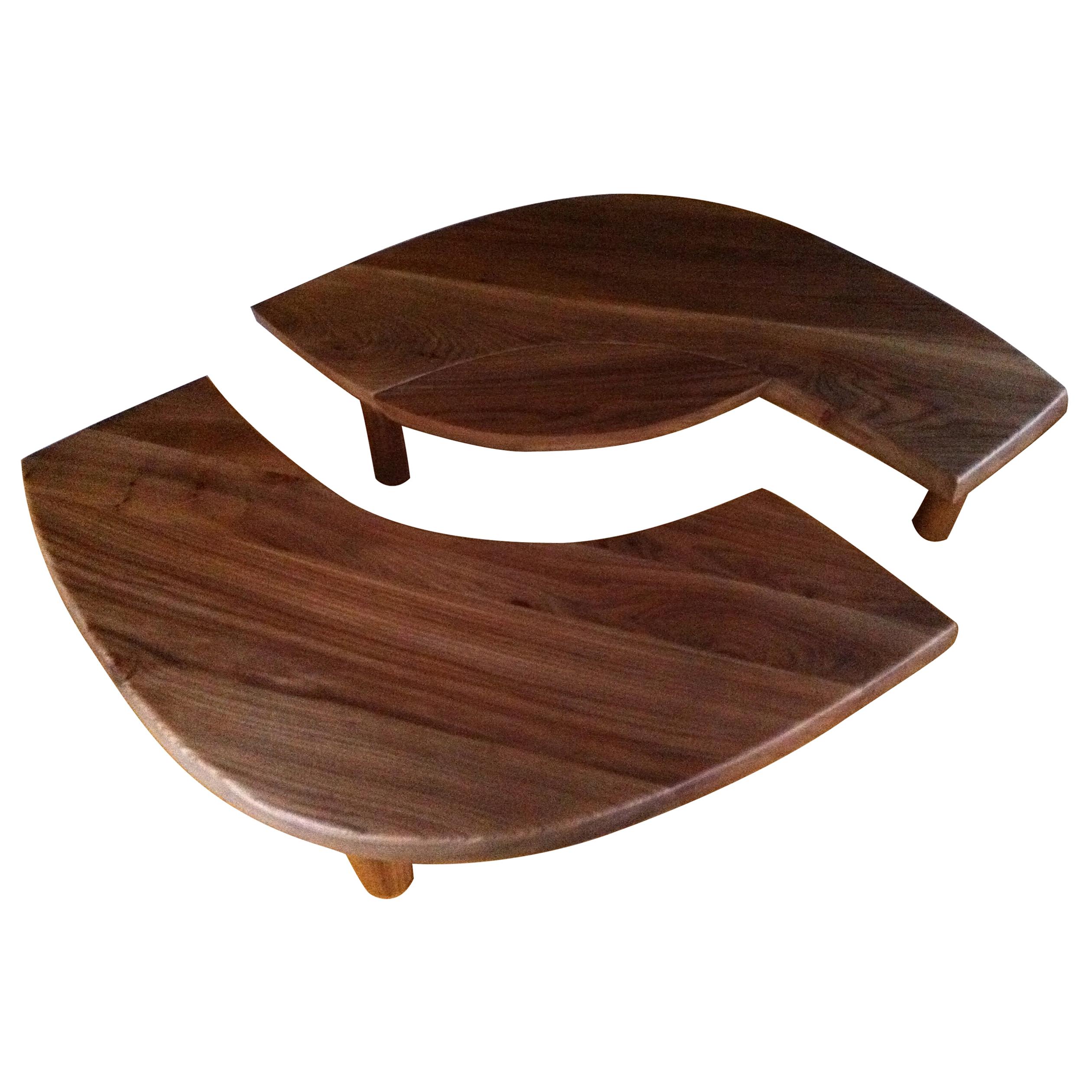 Coffee Table Model 'T 22 S' French Solid Elm, 1965