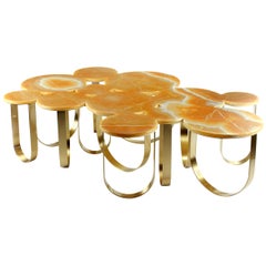 Coffee Center Table Organic Shape Orange Onyx Brushed Brass Collectible Italy