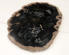 Coffee Table, Natural Shape, Petrified Wood with acrylic base