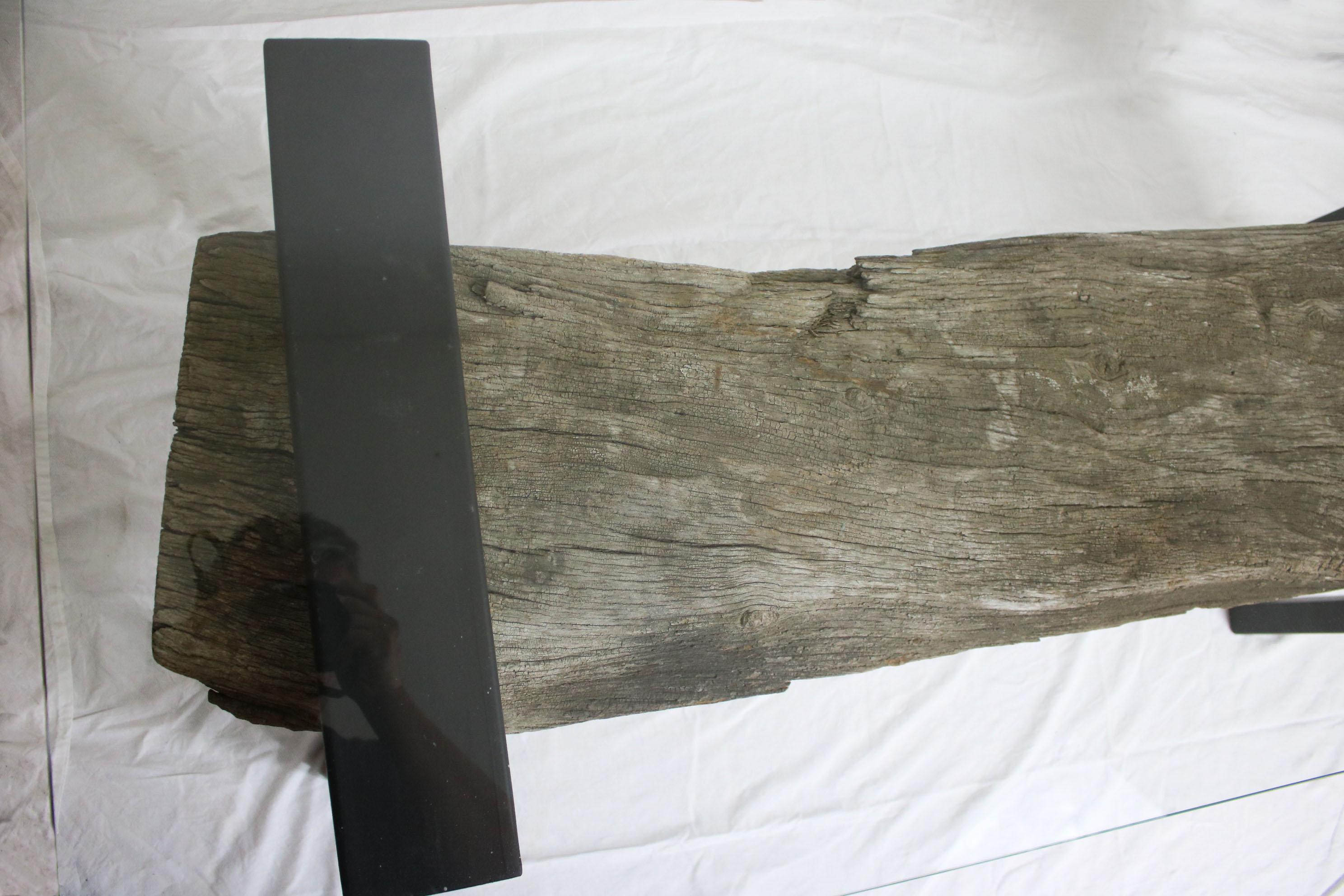 Organic Modern Coffee Table  - One Of A Kind - Made From A Wood Log And Metal For Sale