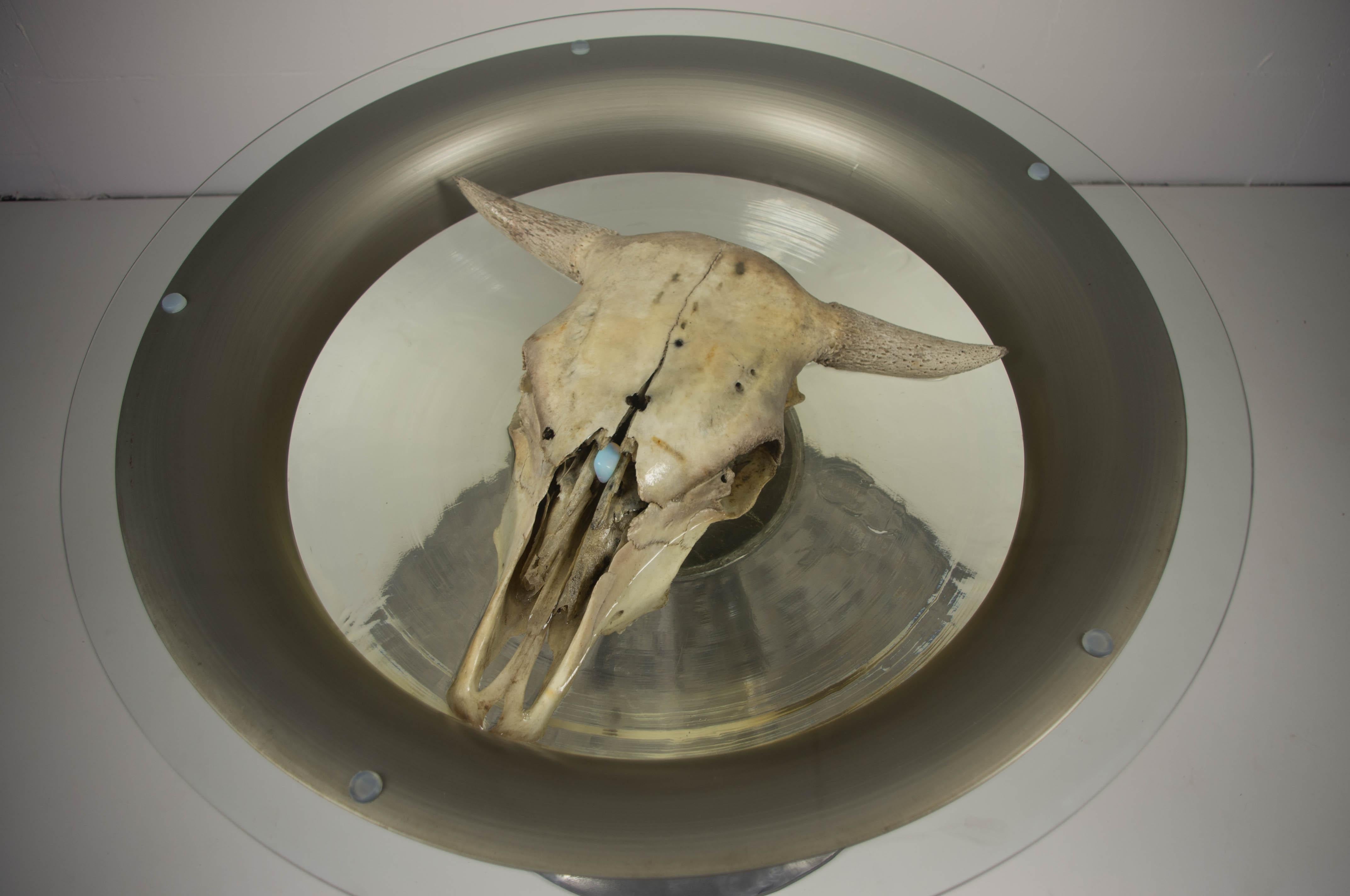 Czech Coffee Table with Cow Skull in Epoxy Resin For Sale