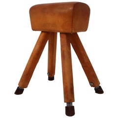 Cognac Leather Covered Beechwood Vaulting Horse, 1960s