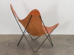 Sedia Knoll Butterfly in pelle cognac